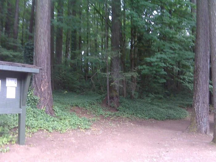 Path around the lake.