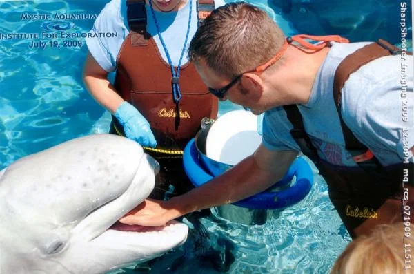 Recent visit to the aquarium - Whale enounter program