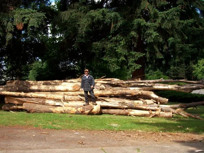 The end result - the model is 5'7" (5'6" without the Timberlands). That pile is twice as deep as it is high, so you can imagine the pile of logs on ou