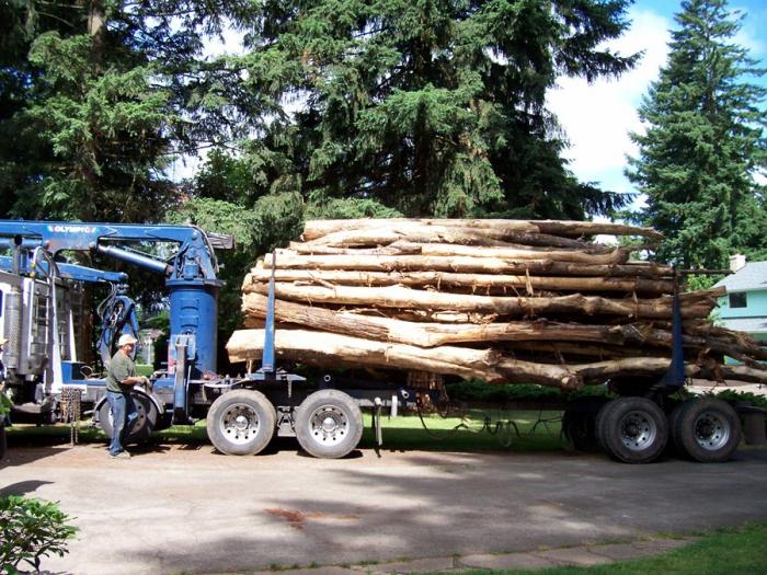 The load arrives - how many people have had a log truck on their driveway?? C'mon?? Well ... for a city-born gal, this was a big deal for me.