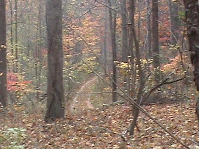 The path in at Wades Gap in Franklin county, Va.