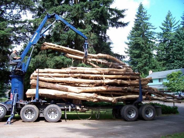 The self-loader unloading timber from the rear.