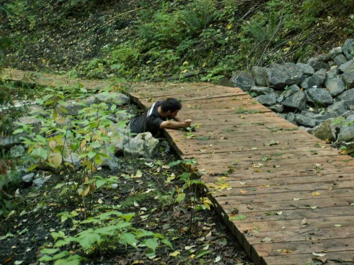 training outdoors Sat 10 11 08 rock massage while rolling about off and on the foot bridge. Staying low