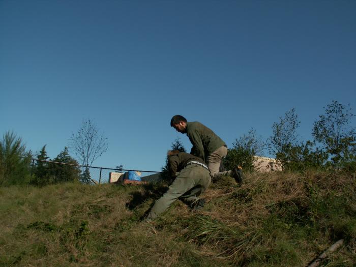 Training outdoors Sat 10 11 08 working on uneven rough ground covered with hidden obstacles and dangers and lessons.