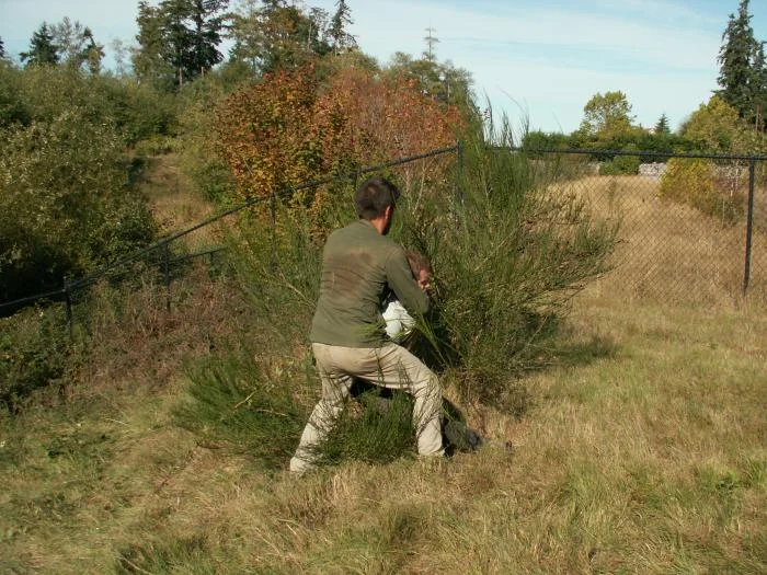 Training outdoors Sat 10 11 08 working on uneven rough ground covered with hidden obstacles and dangers and lessons.