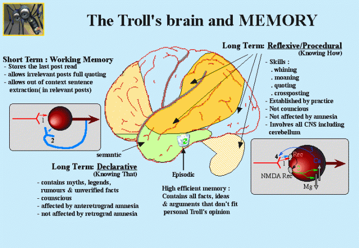 Troll's Brain and memory