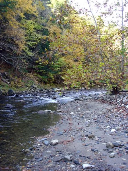 Vermont river view