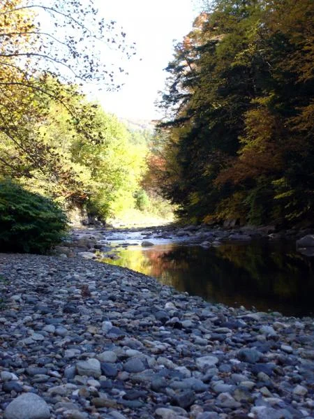 Vermont river view