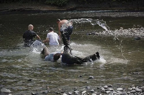 water training/partner rolling