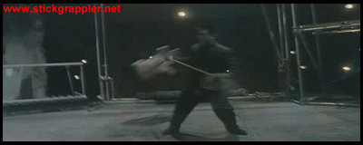MFISH03a3-sg.gif