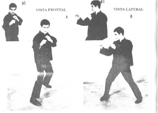 image-34.jpg