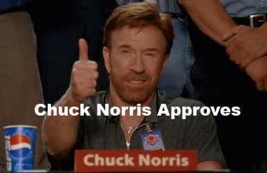 post-40530-chuck-Norris-approves-gif-Imgu-USnA.jpeg