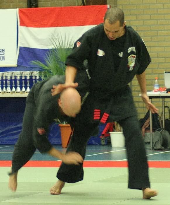 jeroenhapkido.jpg