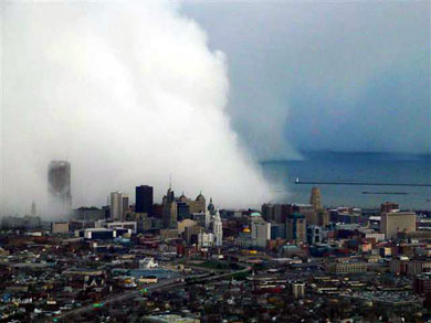 buffalo2.jpg