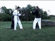 Dragonsweep.gif