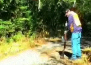 tumblr_mmsh6d4mDA1rrucamo1_400.gif