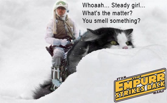 CatTauntaun.jpg