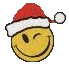 xmas-smiley-009.gif