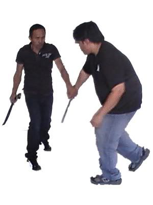 seq1.jpg