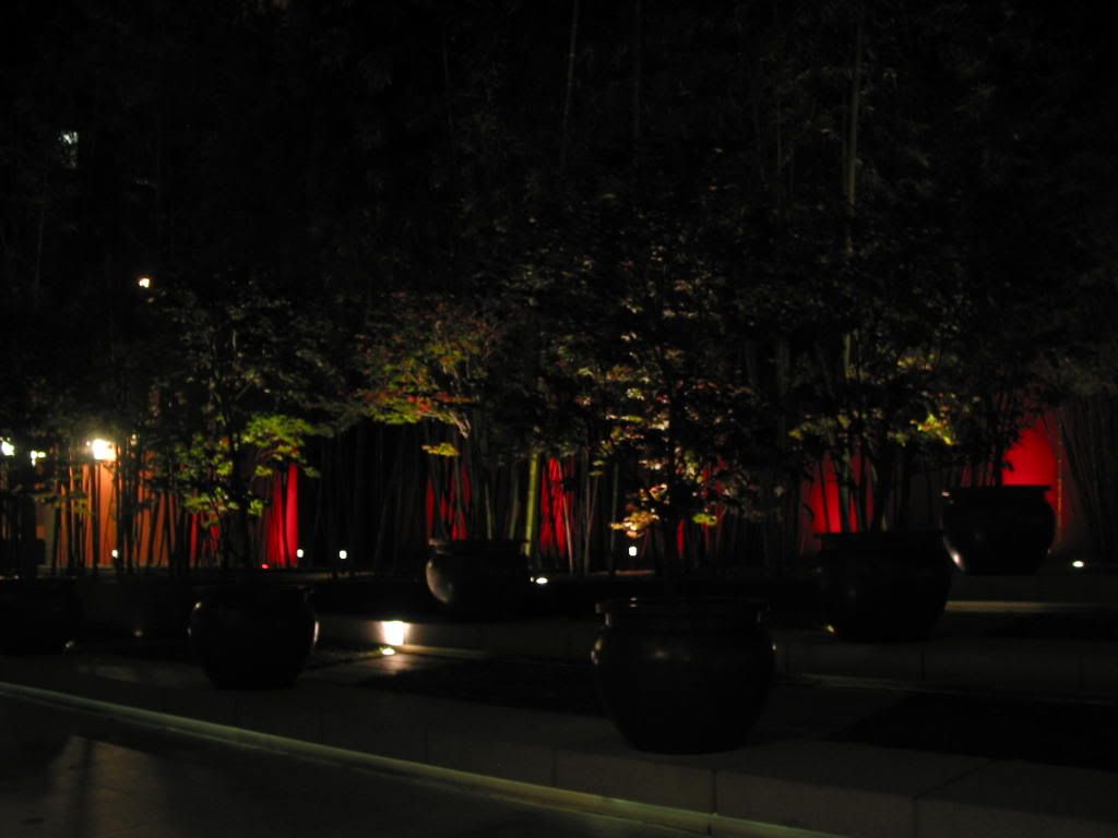 IMG_1014.jpg