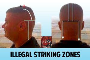 Illegal_Striking_Zones_PIC_large_medium.jpg