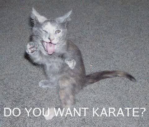 funnystufffromfriends006.jpg
