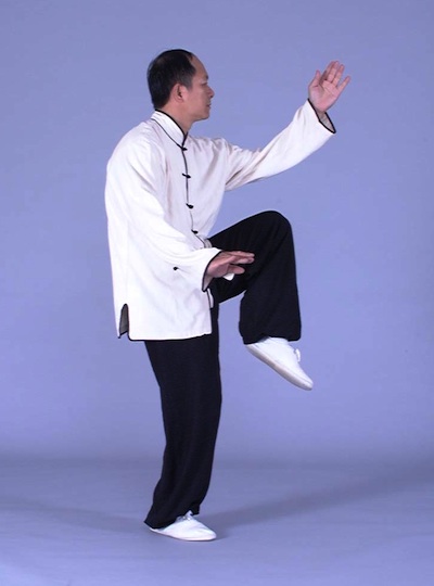 articles-20140224-fundamental-eight-stances-4.jpg