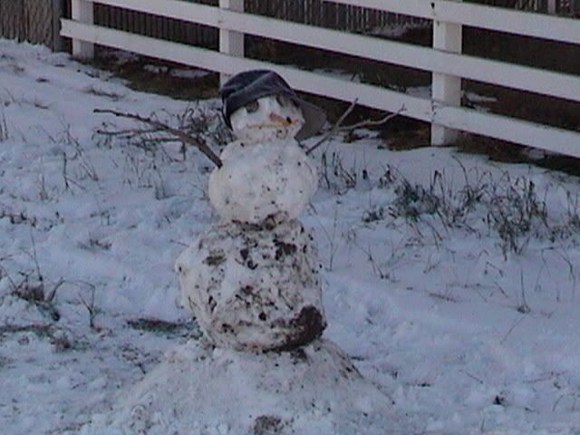 DSC00426.jpg