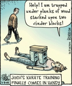 Bizarro-Karate-Training-252x300.jpg