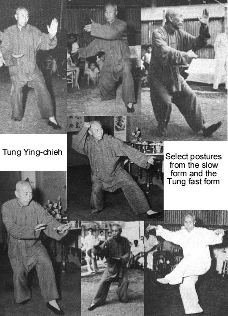 tyc2.jpg