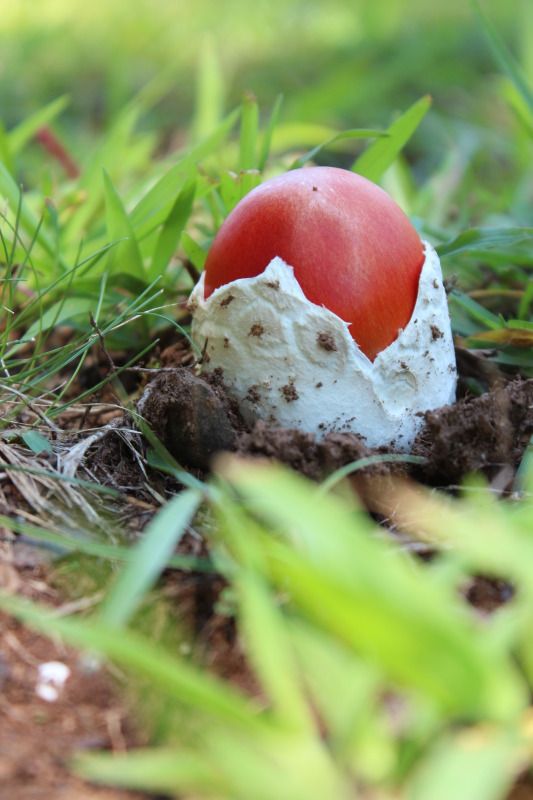 August2012029.jpg