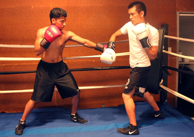switch-stance-parry-3.jpg