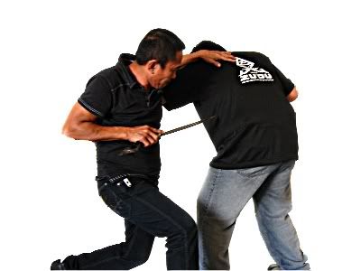 live1.jpg