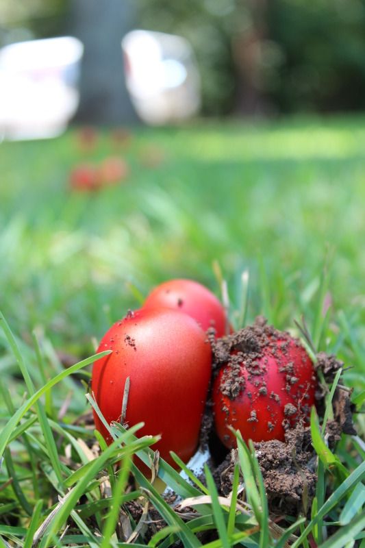 August2012067.jpg