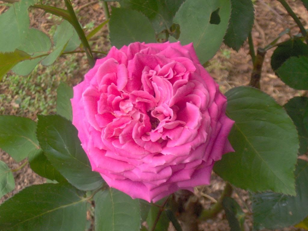 002-2_zpsb9650db0.jpg