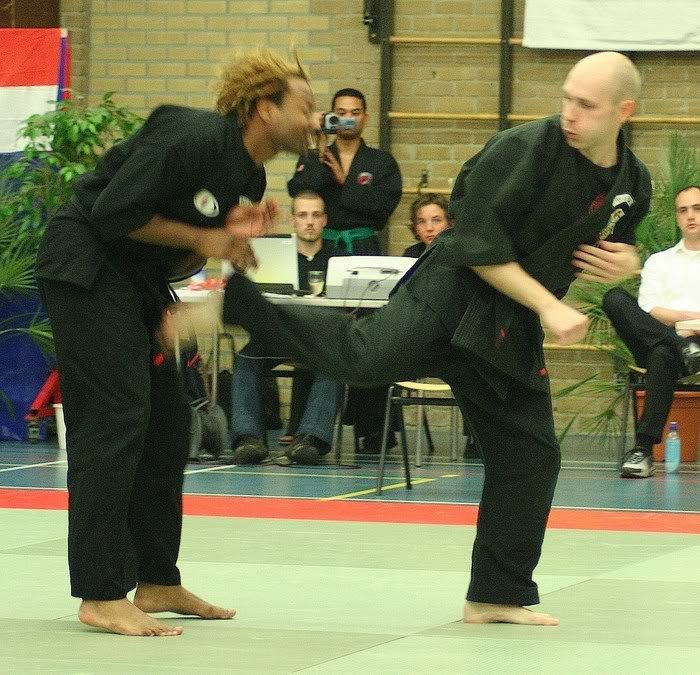 jaaphapkido.jpg