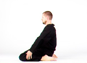 seiza.jpg