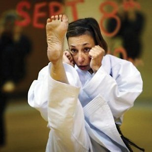 websttkHolderKarate.jpg