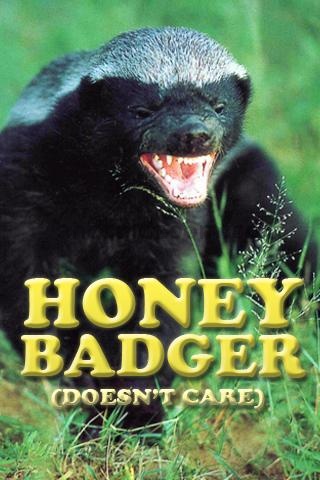 honeybadger.jpg