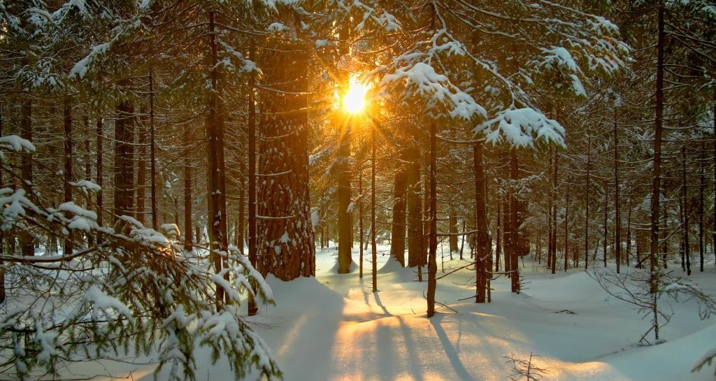 Adirondacks-winter-activities.jpg