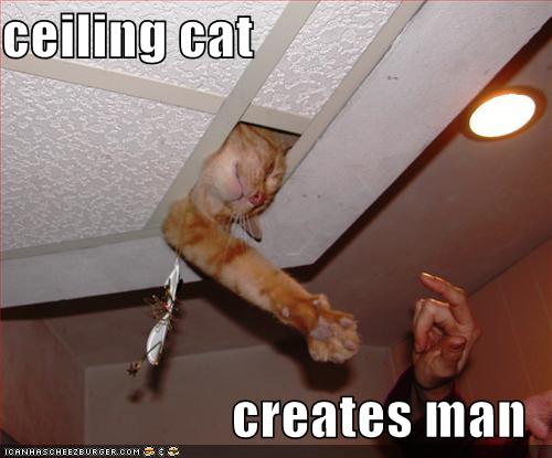 creates-man.jpg