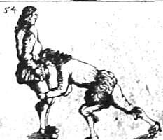 5065707267_683491abab_m_d.jpg