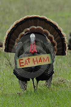 thanksgiving-humor-eat-ham-turkey-thumb5778021.jpg